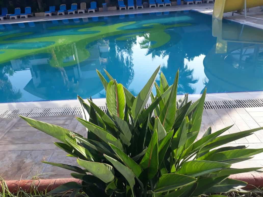 Club Jovia Kemer Hotel Antalya Luaran gambar