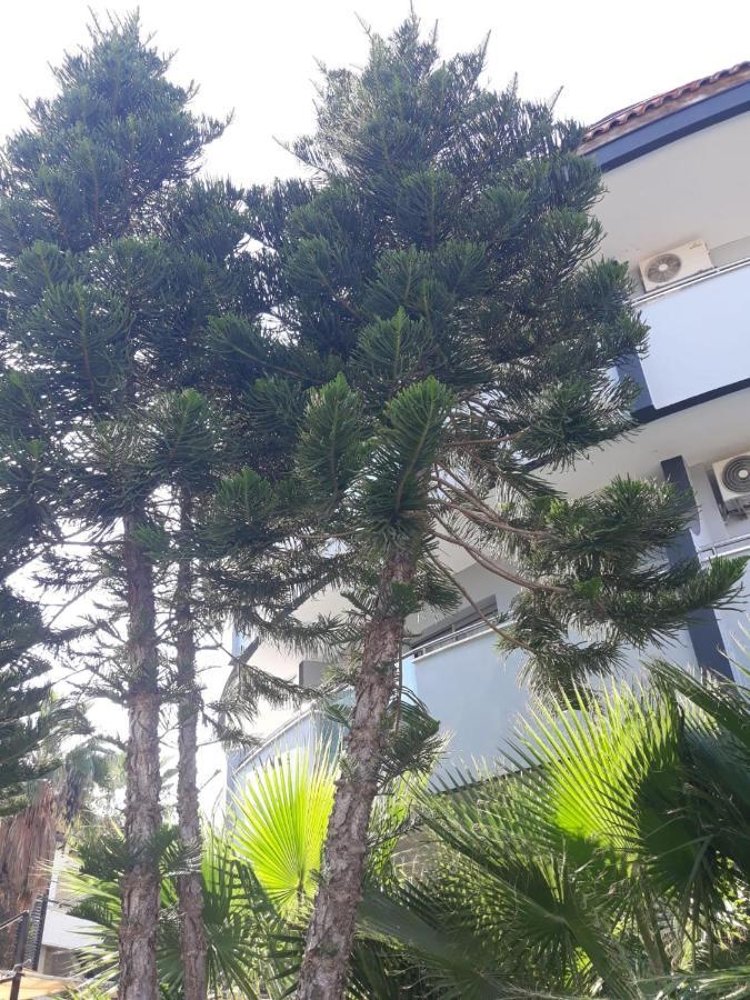 Club Jovia Kemer Hotel Antalya Luaran gambar